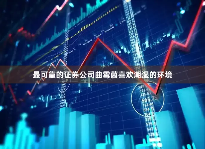 最可靠的证券公司曲霉菌喜欢潮湿的环境