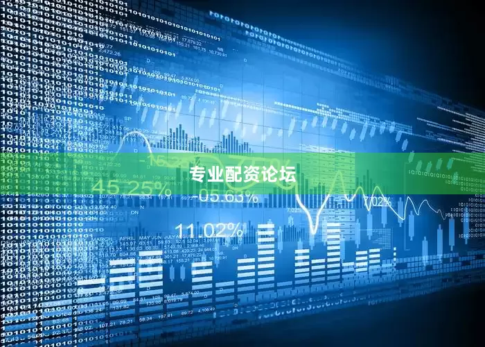 专业配资论坛