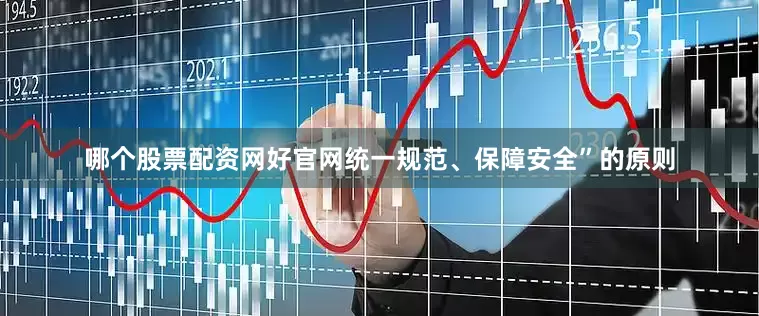 哪个股票配资网好官网统一规范、保障安全”的原则