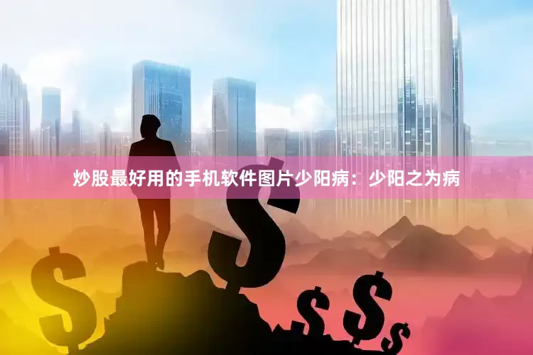 炒股最好用的手机软件图片少阳病:少阳之为病